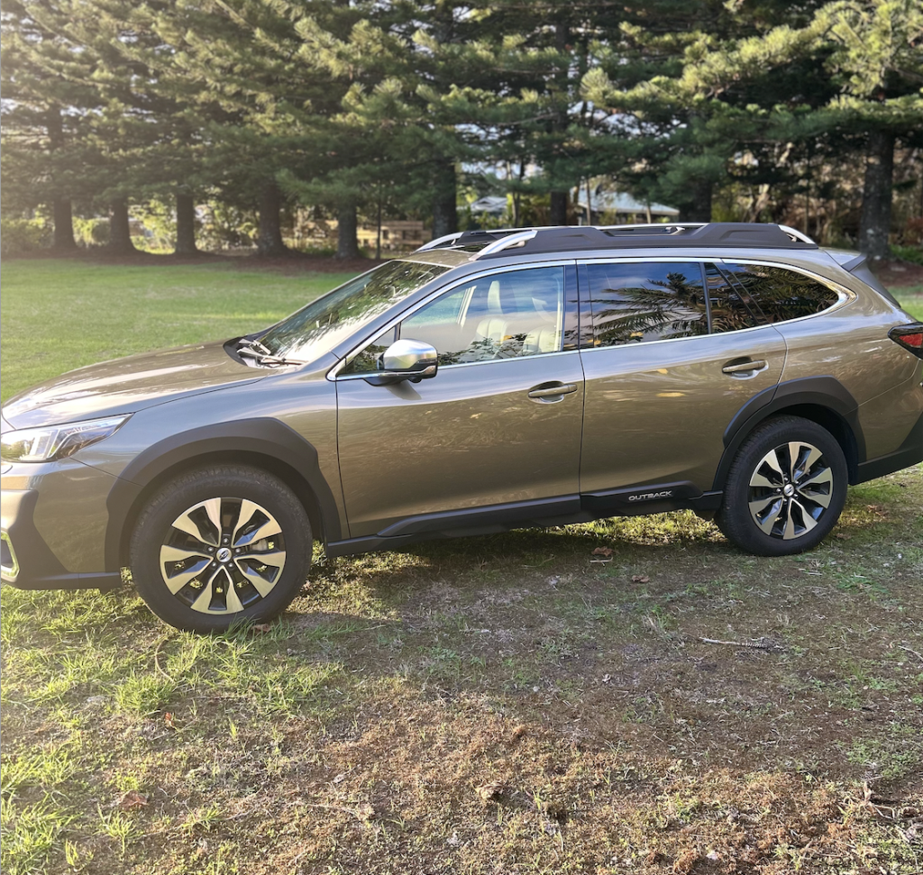 a car parked in a grassy area